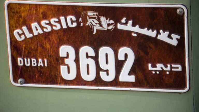 Dubai plate number search