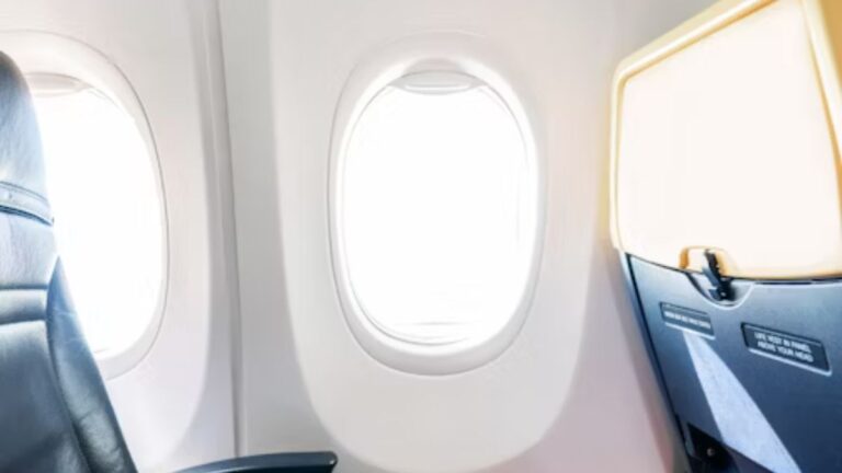 Dubai to Chennai flight